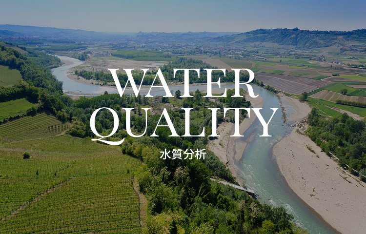 水質分析
